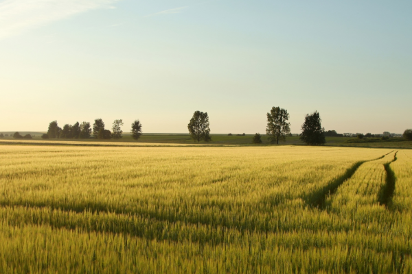Understanding Rural: Why Rural Missions Matter